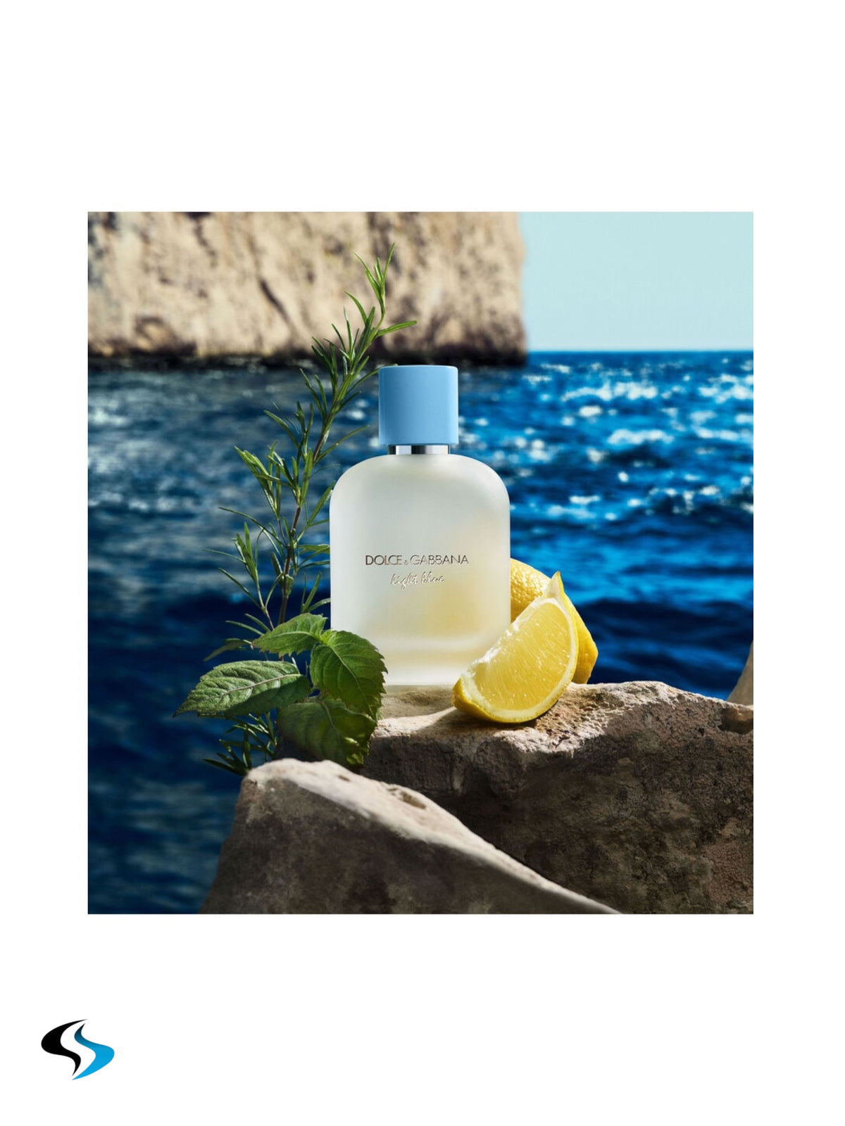Dolce & Gabbana Light Blue