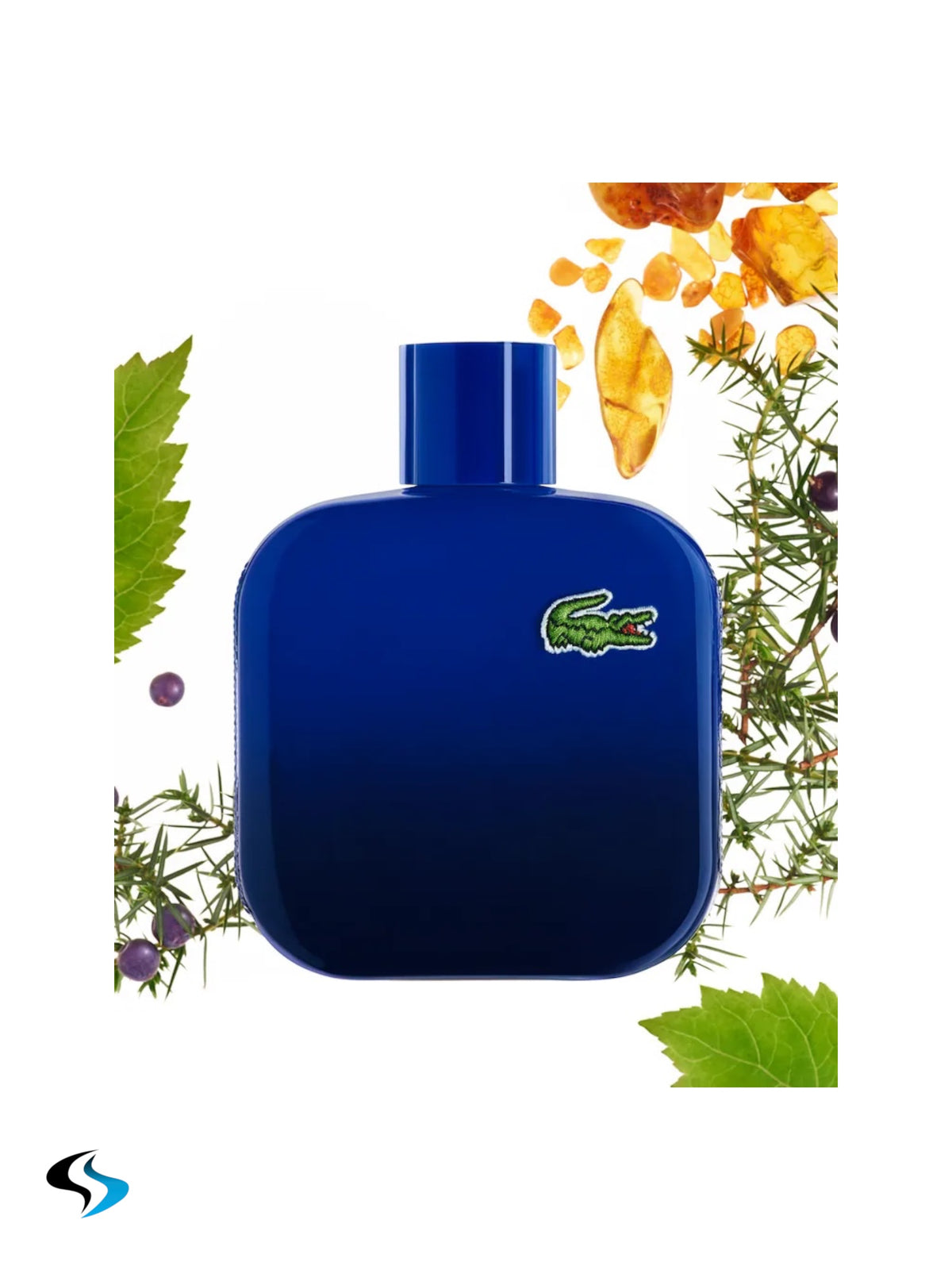 Lacoste Pour Lui Magnetic